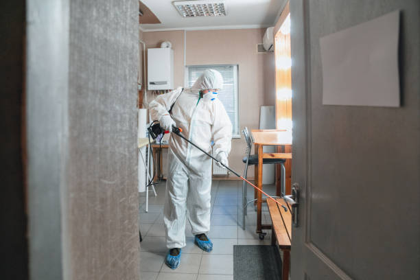 Best Mold Remediation for Vacation Homes  in New Richmond, WI